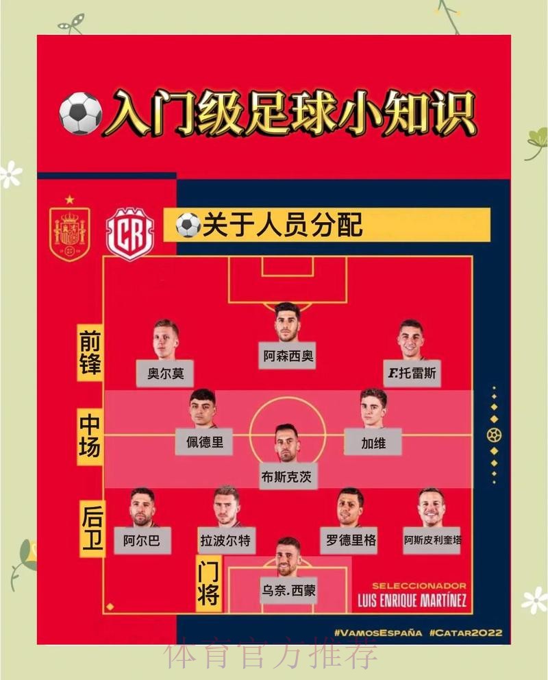 世界杯盘口深度解读与下载指南